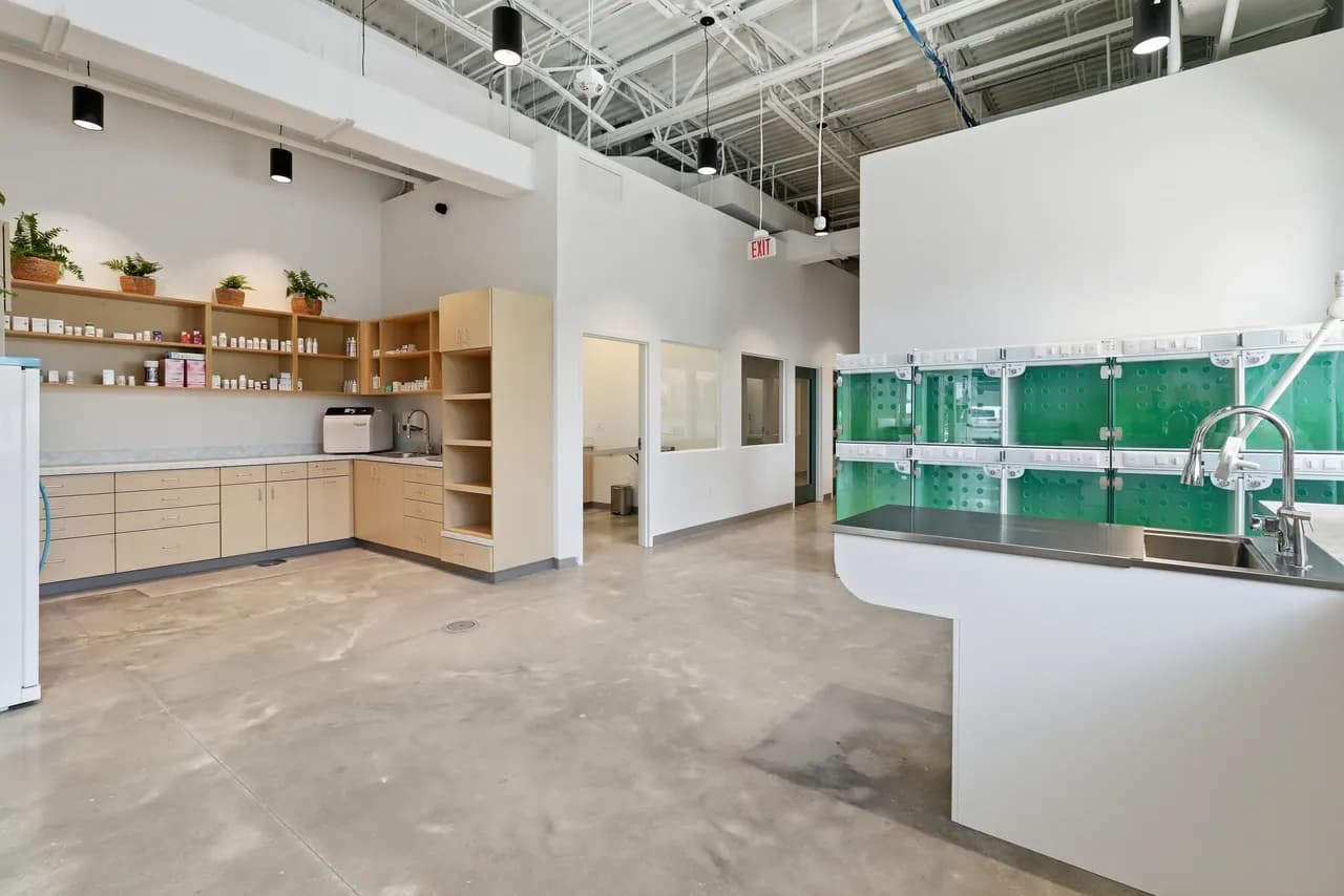 Open lab and treatment area inside Azalea Veterinary Clinic